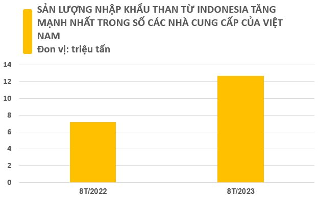 Giá rẻ kỷ lục, Việt Nam chớp “cơ hội vàng” chi hơn 1,4 tỷ USD nhập khẩu mặt hàng này từ Indonesia, sản lượng trong 8 tháng vượt cả năm 2022 cộng lại - Ảnh 2.