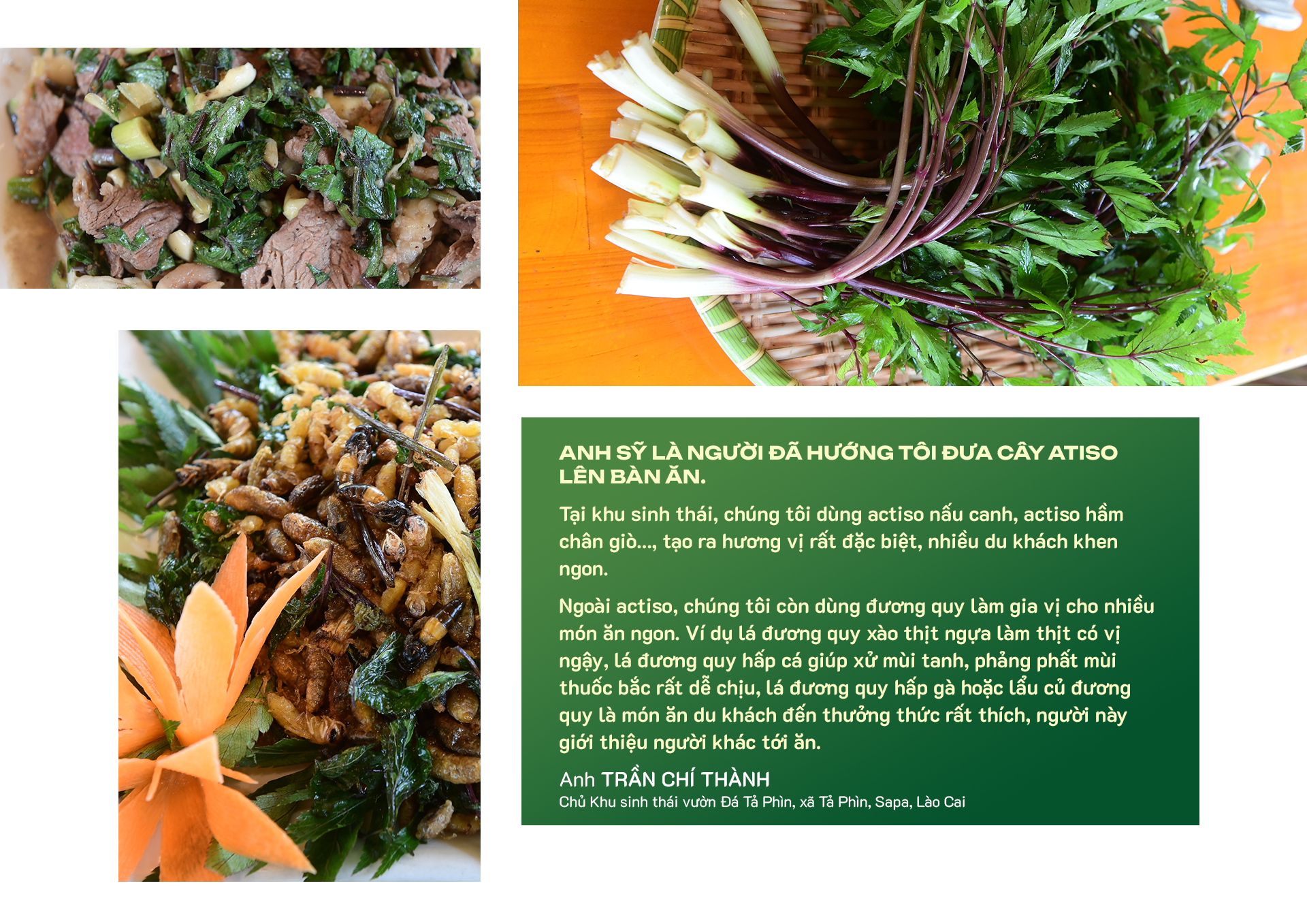 “Người tự đi đày” ở Traphaco và khát khao “đưa thảo dược lên bàn ăn, vào tour du lịch” - Ảnh 14. “Người tự đi đày” ở Traphaco và khát khao “đưa thảo dược lên bàn ăn, vào tour du lịch” - Ảnh 14.