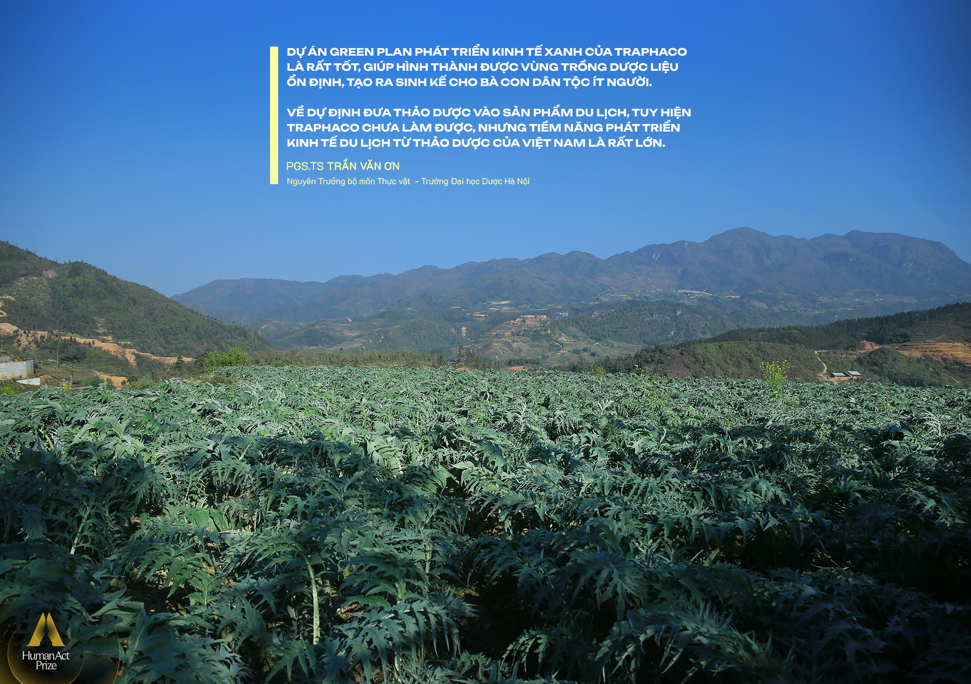 “Người tự đi đày” ở Traphaco và khát khao “đưa thảo dược lên bàn ăn, vào tour du lịch” - Ảnh 15. “Người tự đi đày” ở Traphaco và khát khao “đưa thảo dược lên bàn ăn, vào tour du lịch” - Ảnh 15.