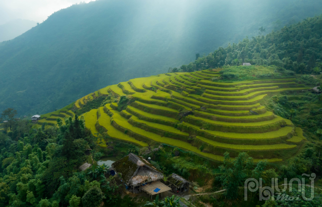 Ngắm mùa vàng ở Xà Phìn (Vị Xuyên, Hà Giang) - Ảnh 3.