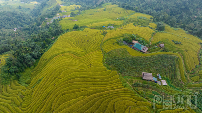 Ngắm mùa vàng ở Xà Phìn (Vị Xuyên, Hà Giang) - Ảnh 6.