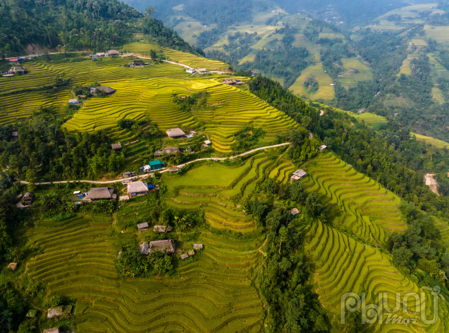 Ngắm mùa vàng ở Xà Phìn (Vị Xuyên, Hà Giang) - Ảnh 11.