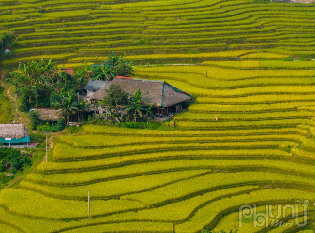 Ngắm mùa vàng ở Xà Phìn (Vị Xuyên, Hà Giang) - Ảnh 13.