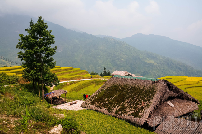 Ngắm mùa vàng ở Xà Phìn (Vị Xuyên, Hà Giang) - Ảnh 10.