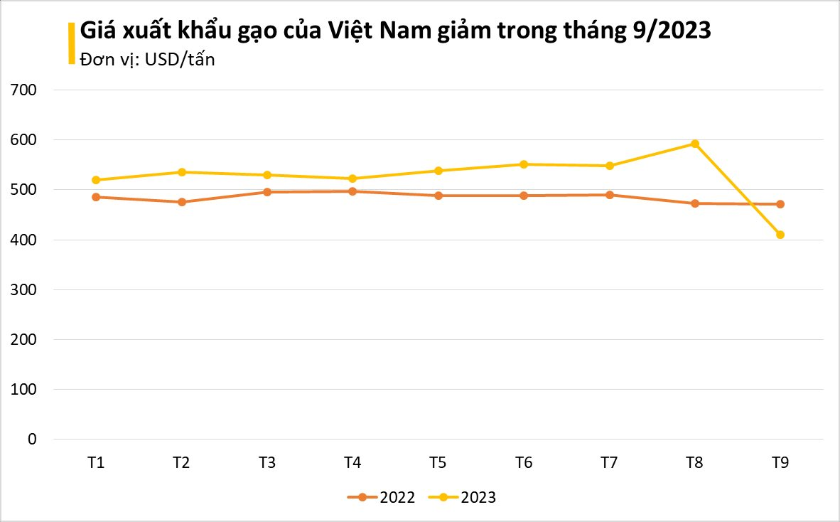 Mặt hàng này của Việt Nam được lòng những thị trường khó tính hàng đầu thế giới, xuất khẩu tăng đột biến 3 chữ số ở nhiều quốc gia dù giá không hề rẻ - Ảnh 1.