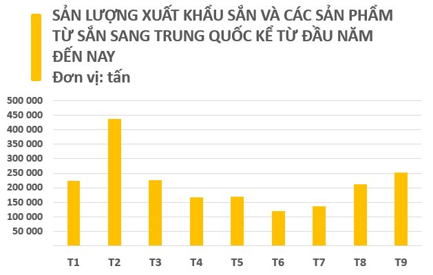 Việt Nam sở hữu một loại nông sản được ví như “vàng trắng” dưới lòng đất: Trung Quốc mỗi năm chi hàng tỷ USD để săn lùng, nước ta xếp thứ 2 thế giới về xuất khẩu - Ảnh 2.