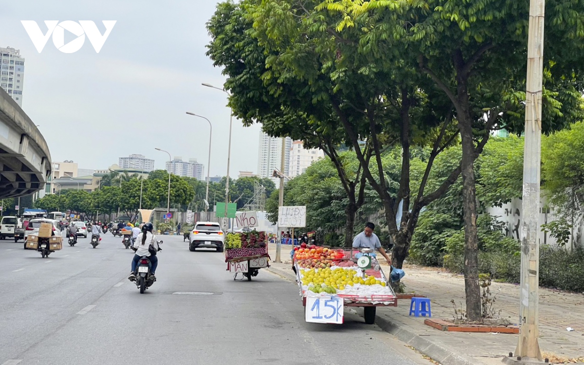 Xe tải bán hoa quả nghênh ngang trên đường phố Hà Nội, sao không ai dẹp? - Ảnh 9.