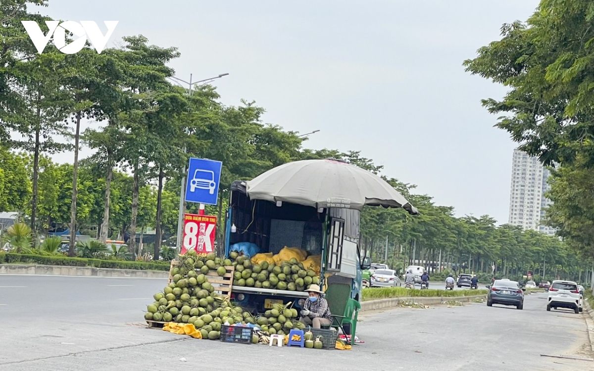 Xe tải bán hoa quả nghênh ngang trên đường phố Hà Nội, sao không ai dẹp? - Ảnh 13.