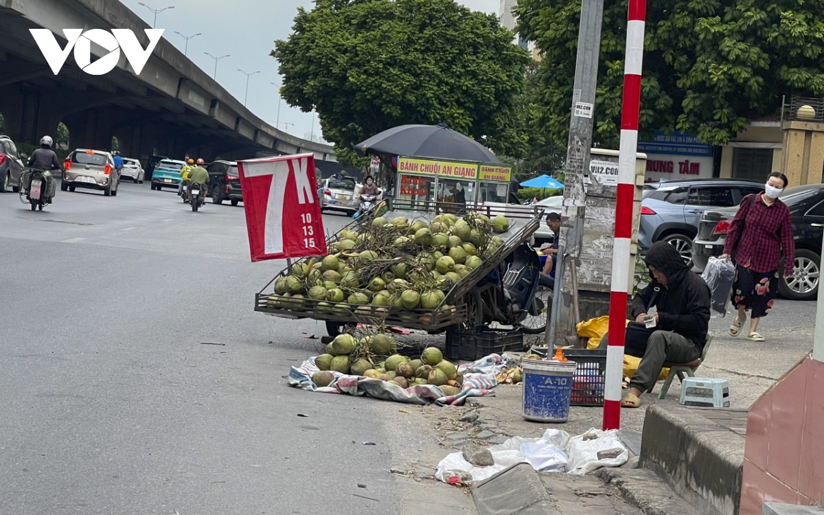 Xe tải bán hoa quả nghênh ngang trên đường phố Hà Nội, sao không ai dẹp? - Ảnh 5.