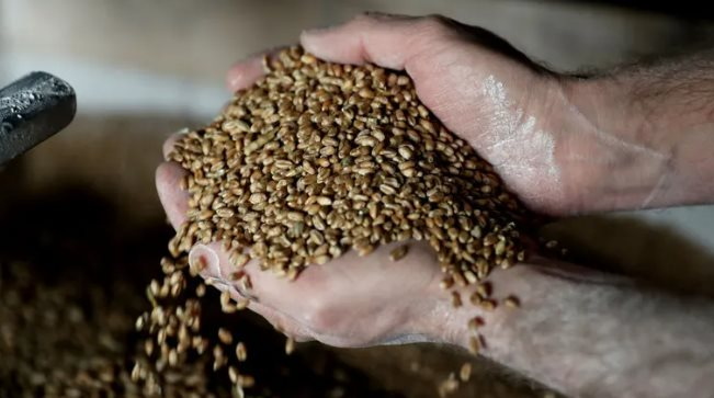 Một loại hạt bất ngờ được Trung Quốc lùng sục khắp thế giới, là mặt hàng có nguy cơ rơi vào khủng hoảng sau gạo - Ảnh 1.