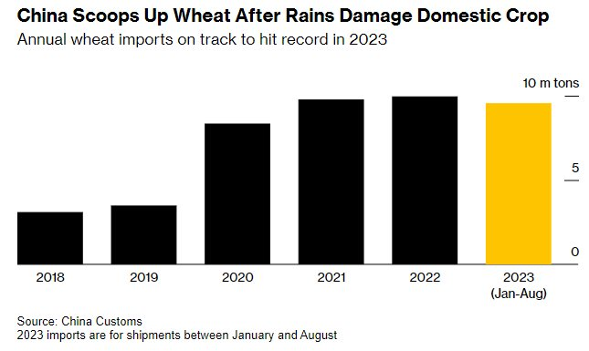 Một loại hạt bất ngờ được Trung Quốc lùng sục khắp thế giới, là mặt hàng có nguy cơ rơi vào khủng hoảng sau gạo - Ảnh 2.
