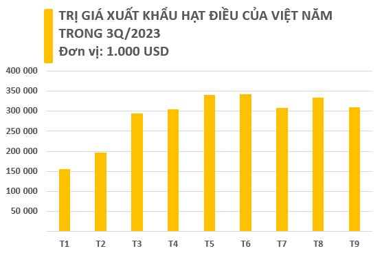 Việt Nam sở hữu &quot;báu vật trời ban&quot; xếp thứ 3 thế giới về sản lượng: Mỹ, Trung Quốc, châu Âu đều săn lùng, thu “sương sương” 300 triệu USD chỉ trong tháng 9 - Ảnh 1.