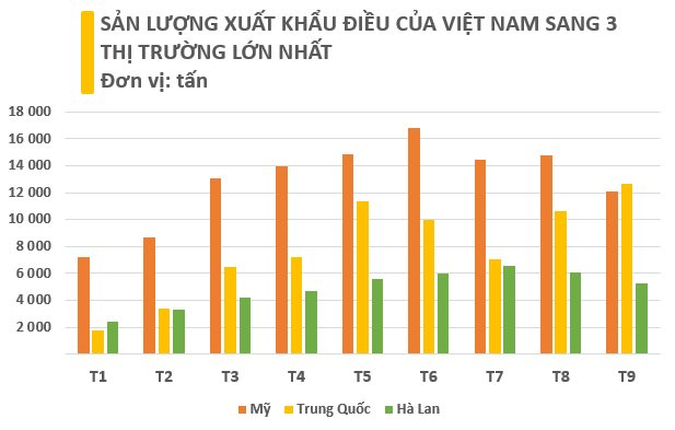 Việt Nam sở hữu &quot;báu vật trời ban&quot; xếp thứ 3 thế giới về sản lượng: Mỹ, Trung Quốc, châu Âu đều săn lùng, thu “sương sương” 300 triệu USD chỉ trong tháng 9 - Ảnh 2.