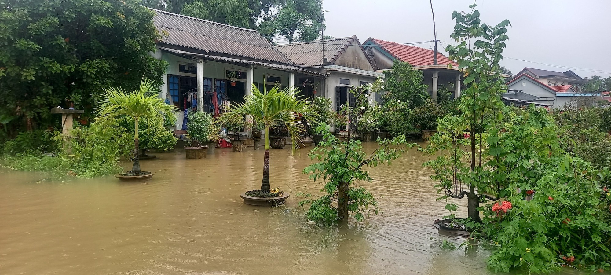 Thừa Thiên - Huế: Có nơi ngập sâu đến 1,3 m do mưa lũ, một số trường học đóng cửa - Ảnh 1.