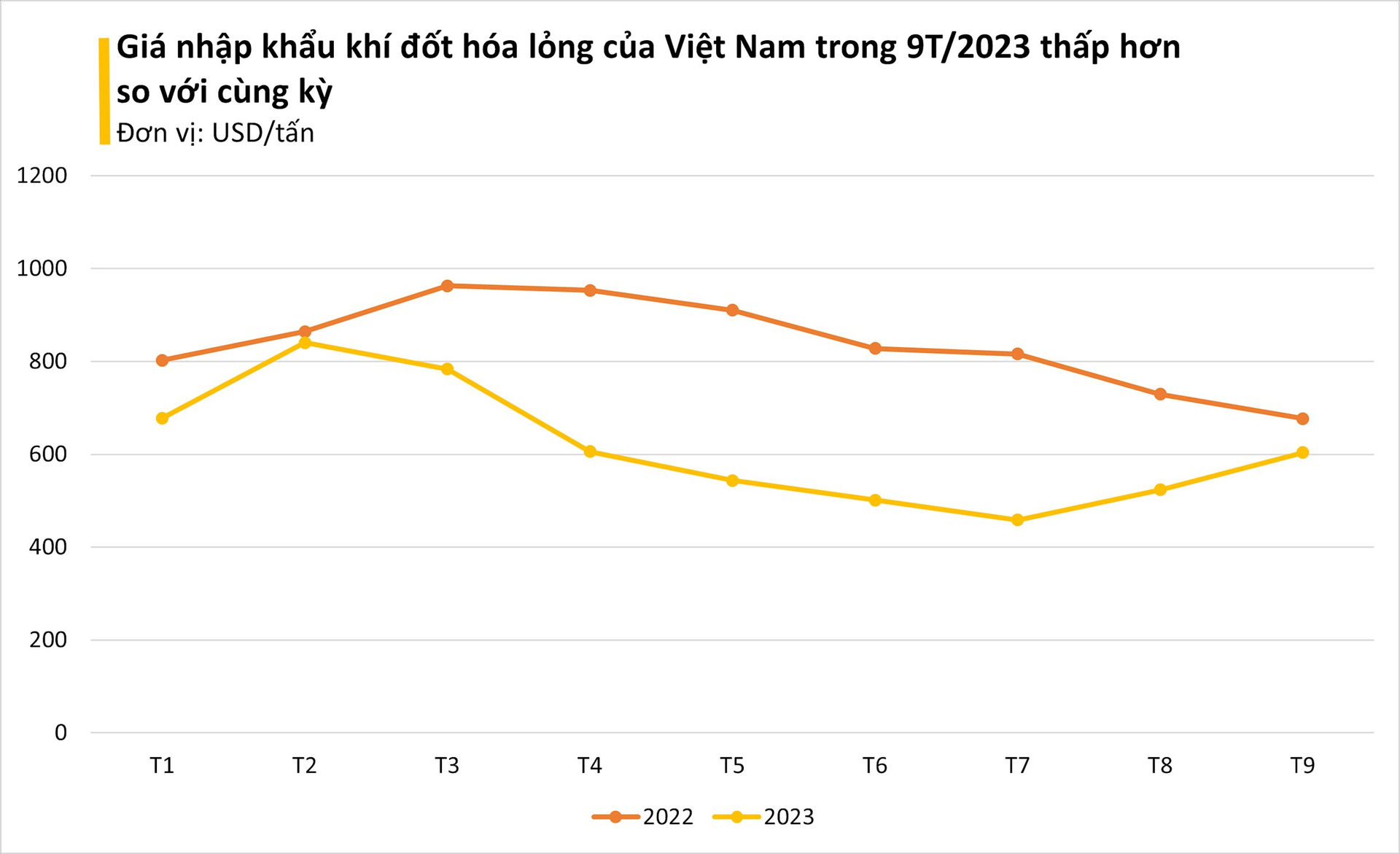 Giá cực rẻ, một mặt hàng từ Trung Đông đang ồ ạt tràn vào Việt Nam: nhập khẩu tăng gần 800%, Việt Nam được xem là 'át chủ bài' trên thị trường - Ảnh 1.