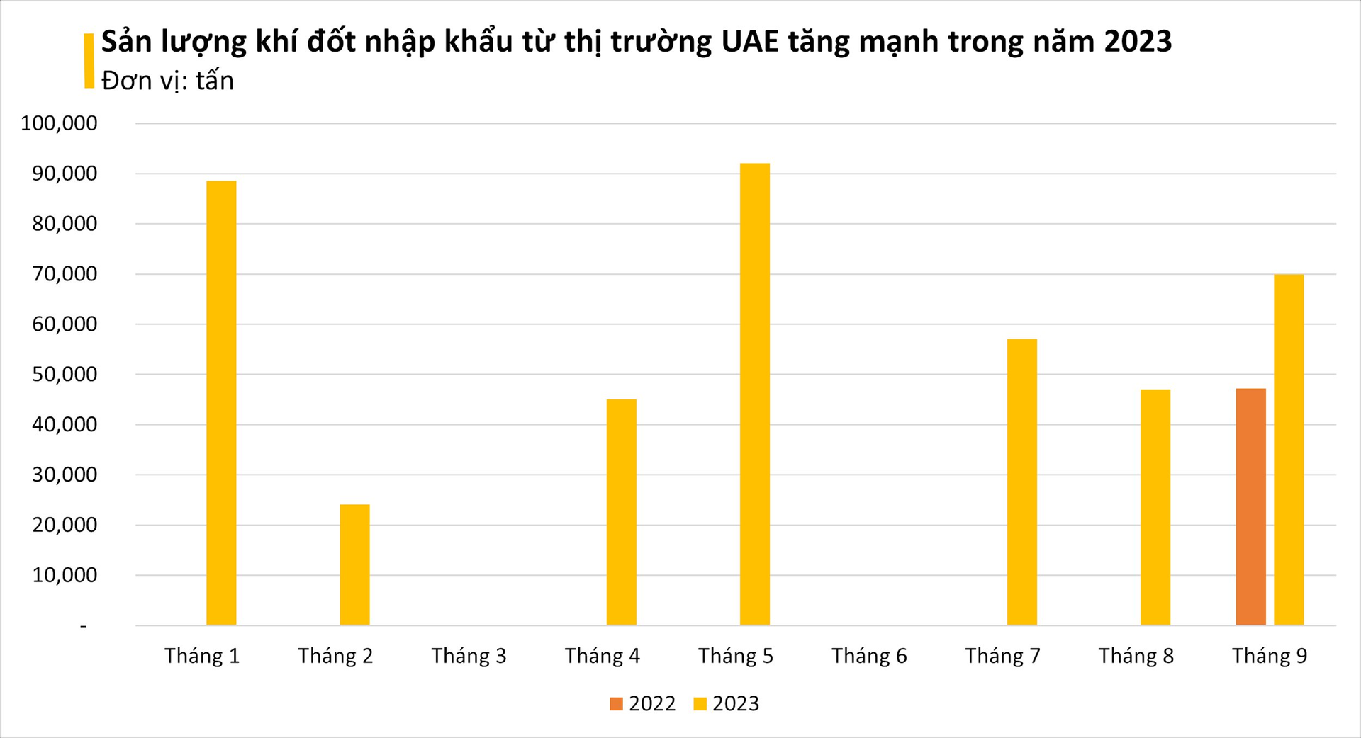 Giá cực rẻ, một mặt hàng từ Trung Đông đang ồ ạt tràn vào Việt Nam: nhập khẩu tăng gần 800%, Việt Nam được xem là 'át chủ bài' trên thị trường - Ảnh 2.