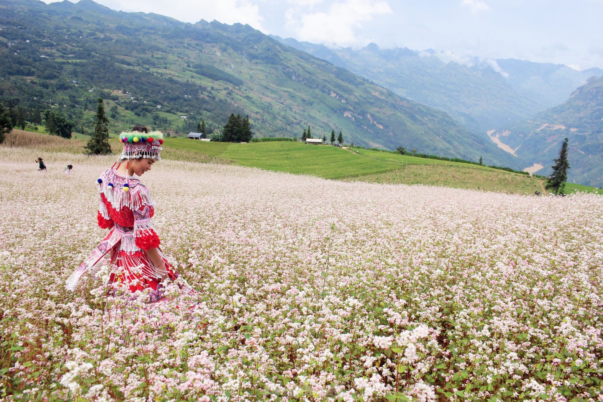 Hoa tam giác mạch phủ hồng 'thảo nguyên Thụy Sĩ giữa lòng Hà Giang' - Ảnh 12.