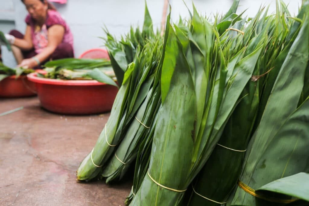 Một loại lá mọc hoang ở Việt Nam chẳng ai lấy, sang nước ngoài bỗng thành hàng 'hot': xuất khẩu với giá đắt đỏ, thu về hàng chục tỷ đồng - Ảnh 1.