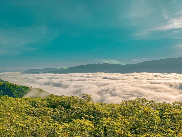 Cung đường đèo phủ biển mây cực đỉnh nằm giữa Quảng Ngãi - Kon Tum - Ảnh 4.