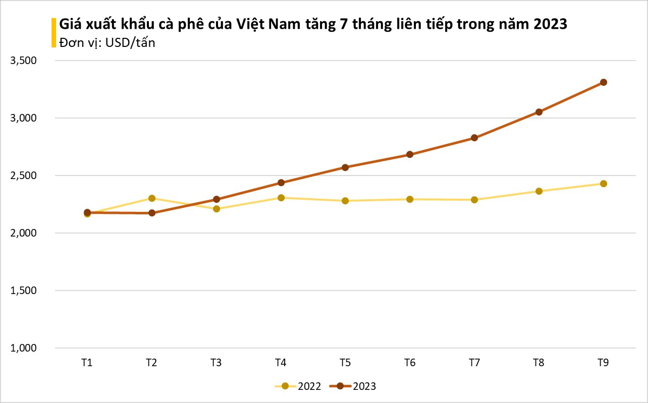 Một loại hạt từ Việt Nam đang ồ ạt tràn vào Mexico với giá đắt đỏ: chi khủng gom hàng trong tháng 9, Việt Nam xuất khẩu đứng thứ 2 thế giới - Ảnh 1.