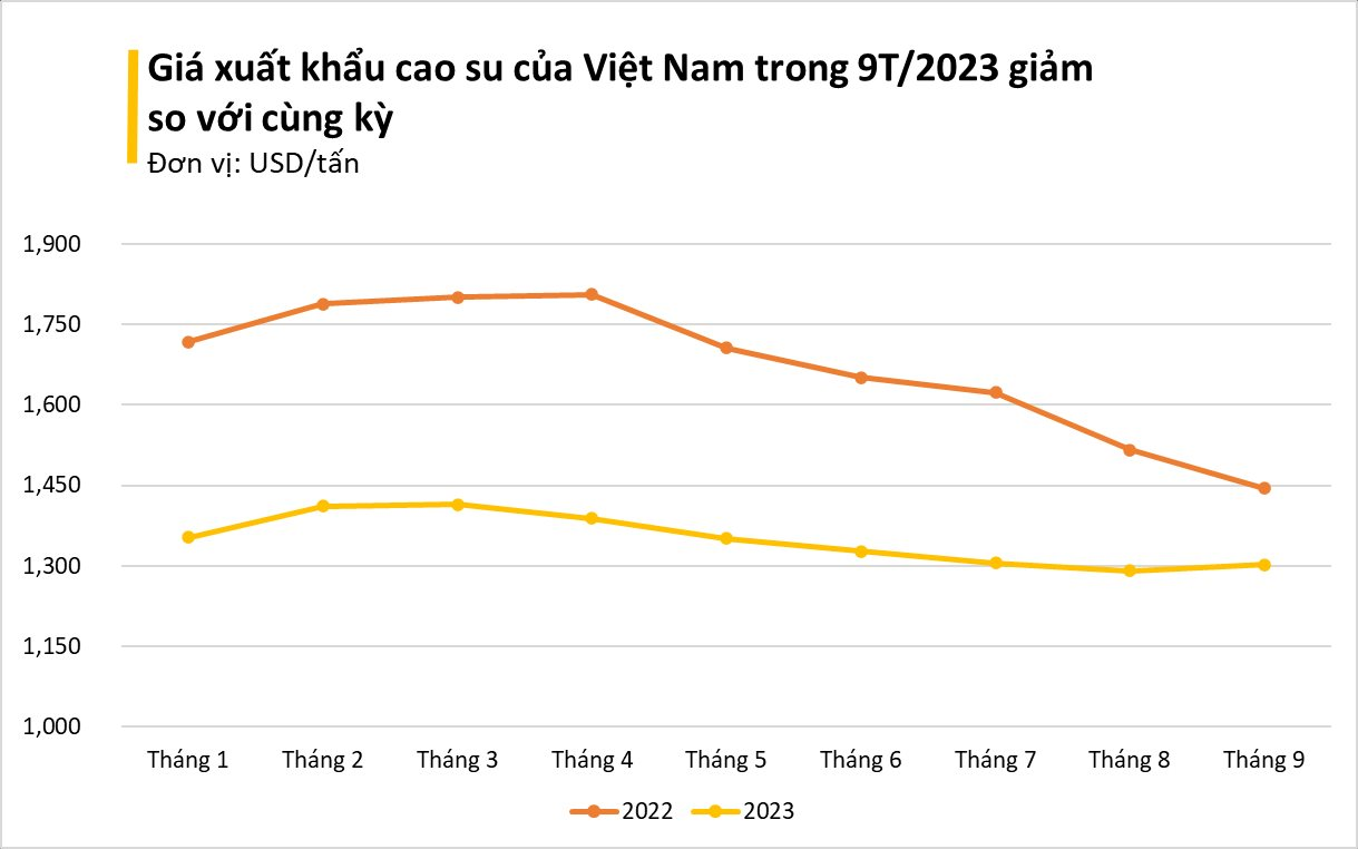 Giá giảm so với thế giới, một mặt hàng Việt được Pakistan gom mạnh: tăng trưởng 3 chữ số trong tháng 9, Việt Nam xuất khẩu đứng thứ 3 thế giới - Ảnh 1.