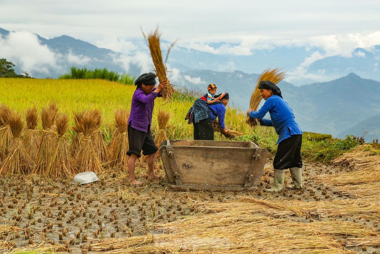 Những tọa độ check-in ruộng bậc thang đẹp nhất Hà Giang - Ảnh 5.