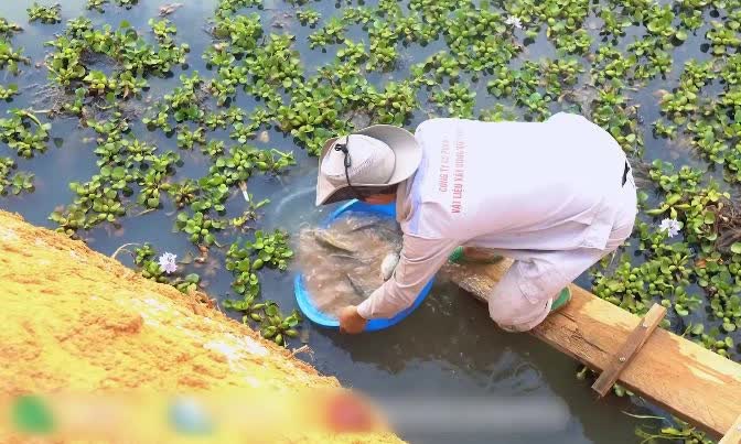 Quang Linh Vlog vừa qua châu Phi, nông trại đã &quot;có biến&quot;, hàng chục người nhảy xuống mương - Ảnh 5.