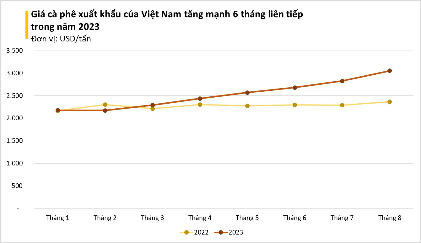 Một loại hạt Việt bất ngờ được quốc gia châu Âu này mua mạnh tay dù giá đắt đỏ, Việt Nam xuất khẩu đứng thứ 2 thế giới - Ảnh 1.