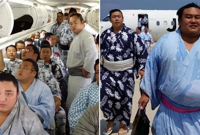 Đoàn sumo rầm rộ lên máy bay khiến hãng không &quot;toát mồ hôi hột&quot;, phải điều chuyên cơ &quot;san sẻ gánh nặng&quot; vào phút chót - Ảnh 1.