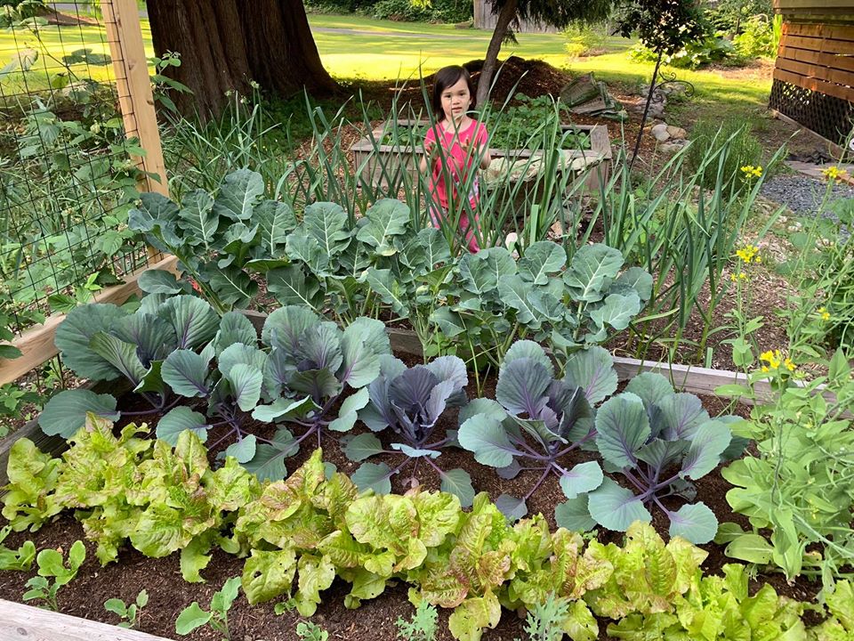 Bà mẹ 4 con dành cả thanh xuân để tạo lập khu vườn trồng cây ăn trái cùng đủ loại rau xanh - Ảnh 6.