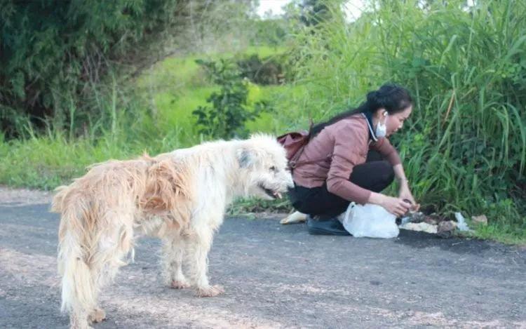 Chú chó đợi chủ suốt 4 năm nhưng không chịu về nhà khi đoàn tụ: Sự thật phía sau lấy nước mắt bao người - Ảnh 5.