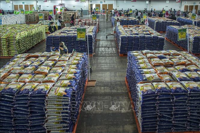Biện pháp thích nghi với giá gạo tăng cao của người dân Indonesia - Ảnh 1.