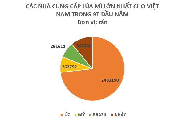 Một loại hạt giá rẻ từ Áo đổ bộ Việt Nam chưa từng có, sản lượng tăng nóng gần 5.000% trong 9 tháng đầu năm - Ảnh 2.