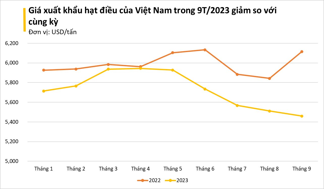 'Tinh túy' của nông sản Việt được các đại gia dầu mỏ cực kỳ ưa chuộng: xuất khẩu tăng mạnh 3 chữ số, tổng thu về hơn 2 tỷ USD - Ảnh 2.