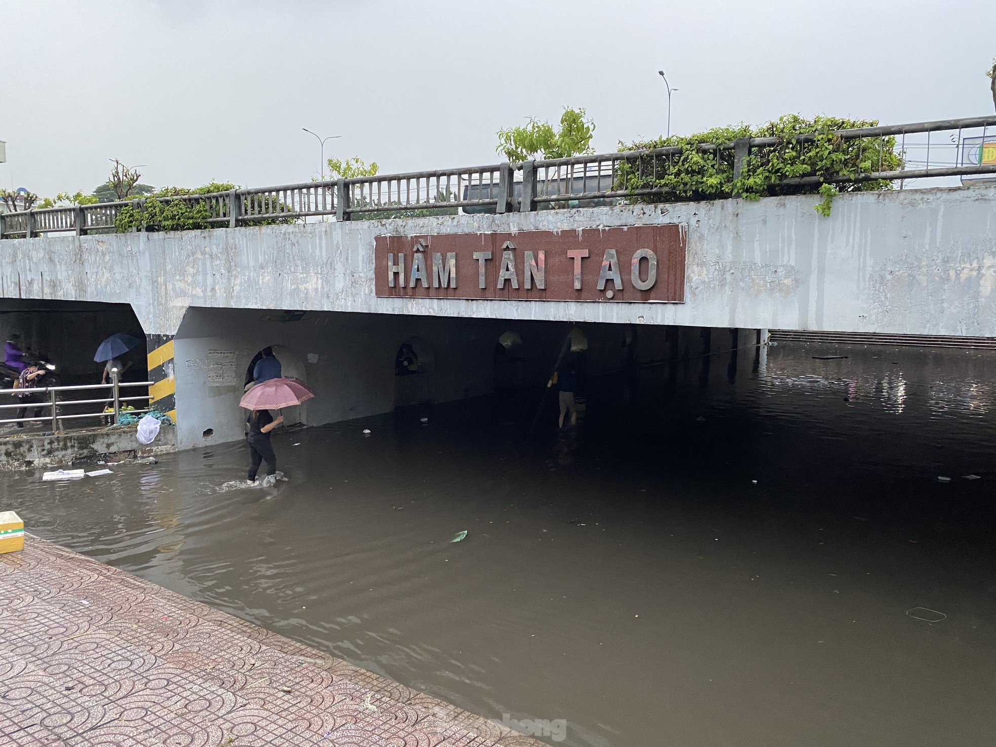 Nước ngập mênh mông ở trụ sở UBND quận, hầm chui sau mưa lớn tại TPHCM - Ảnh 2.