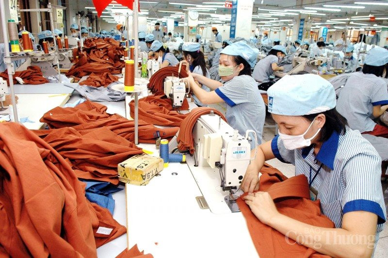 Lợi nhuận nhiều doanh nghiệp 'teo tóp', mặt hàng xuất khẩu chủ lực đứng thứ 3 thế giới của Việt Nam thế nào sau 9 tháng đầu năm 2023? - Ảnh 3.