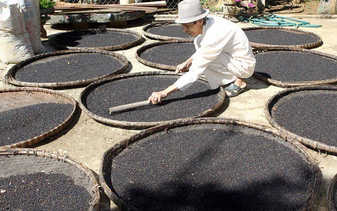 Việt Nam sở hữu một loại 'vàng đen' được Trung Quốc, Mỹ liên tục săn lùng: xuất khẩu tăng nóng, cả thế giới phụ thuộc vào Việt Nam - Ảnh 1.