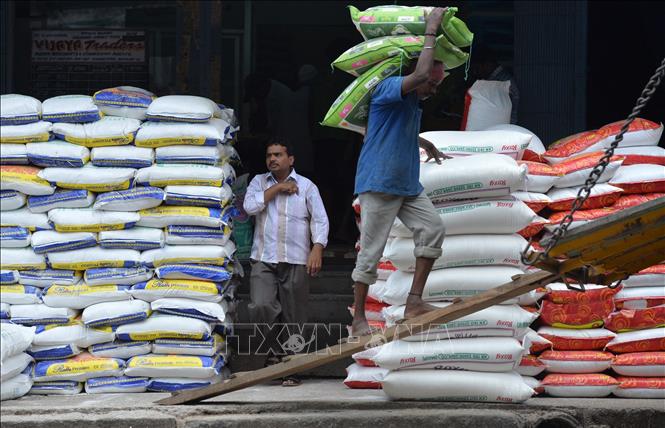 Ấn Độ giảm giá sàn xuất khẩu gạo basmati - Ảnh 1.