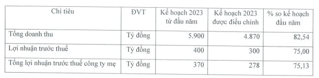 Sao Ta (FMC) điều chỉnh giảm 25% kế hoạch doanh thu và lợi nhuận năm 2023 - Ảnh 1.