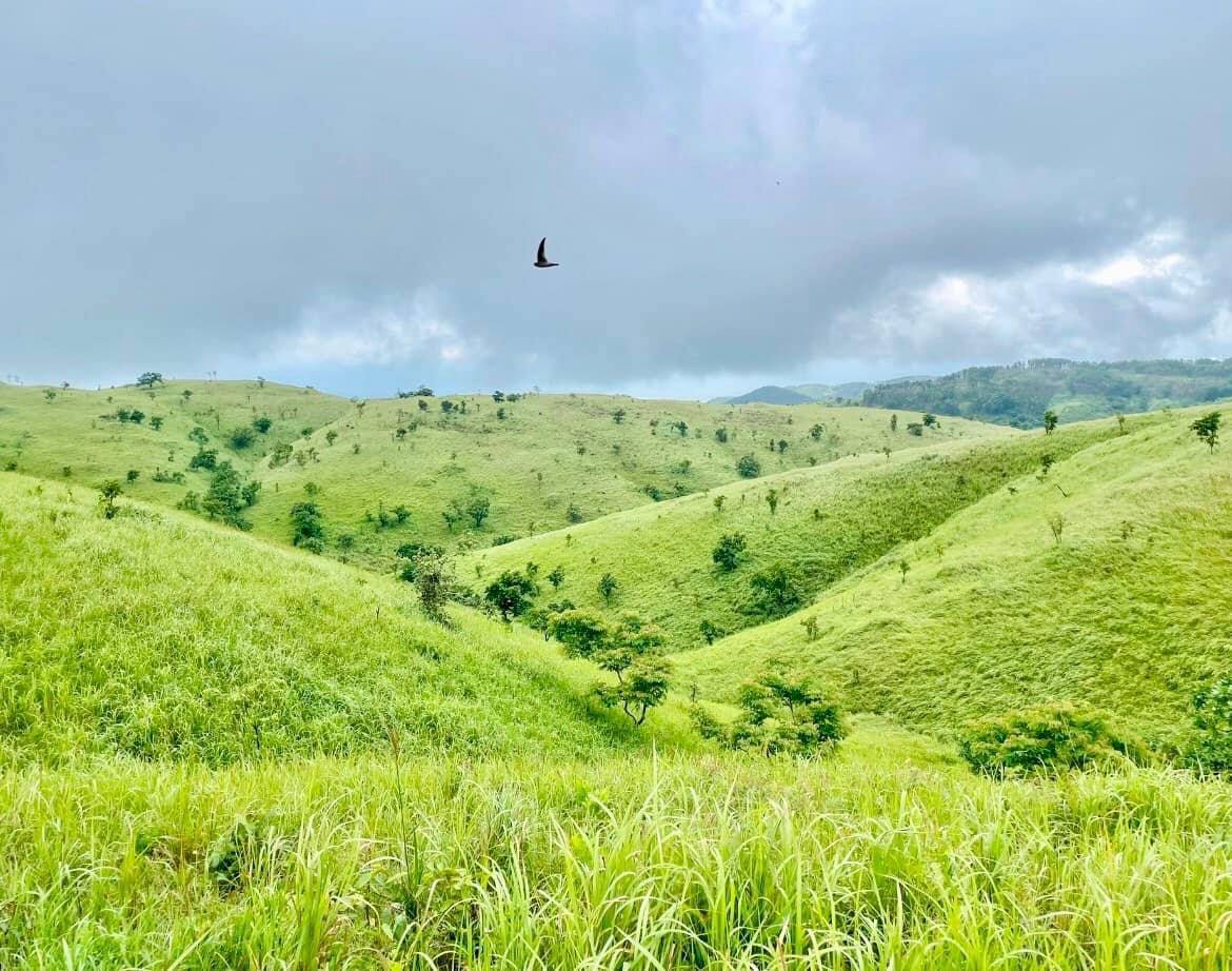 Một thảo nguyên xanh ở Đắk Lắk được giới trẻ săn đón vì cảnh đẹp mê ly
