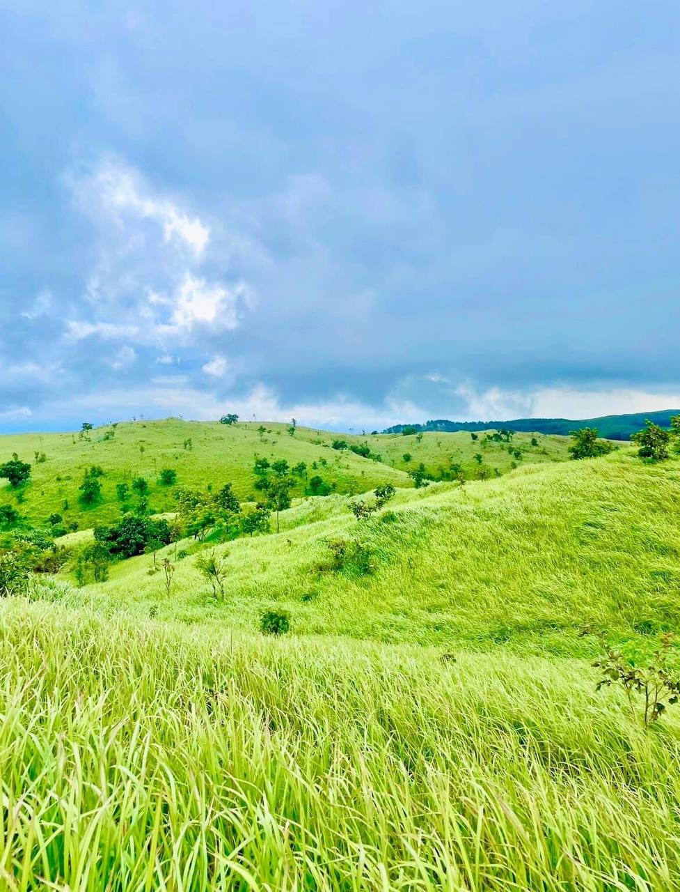 Một thảo nguyên xanh ở Đắk Lắk được giới trẻ săn đón vì cảnh đẹp mê ly
