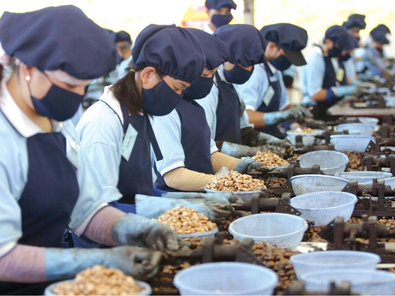 Trung Quốc vượt Mỹ, thành khách mua lớn nhất 1 sản phẩm Việt Nam: Lý do hàng Việt "độc bá" thị trường - Ảnh 1. Trung Quốc vượt Mỹ, thành khách mua lớn nhất 1 sản phẩm Việt Nam: Lý do hàng Việt "độc bá" thị trường - Ảnh 1.
