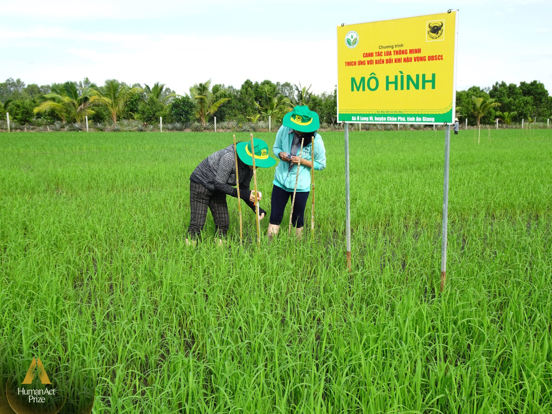 Doanh nghiệp phân bón khuyến cáo nông dân bón ít hơn và câu chuyện phát triển nông nghiệp bền vững vùng Đồng bằng Sông Cửu Long - Ảnh 1.