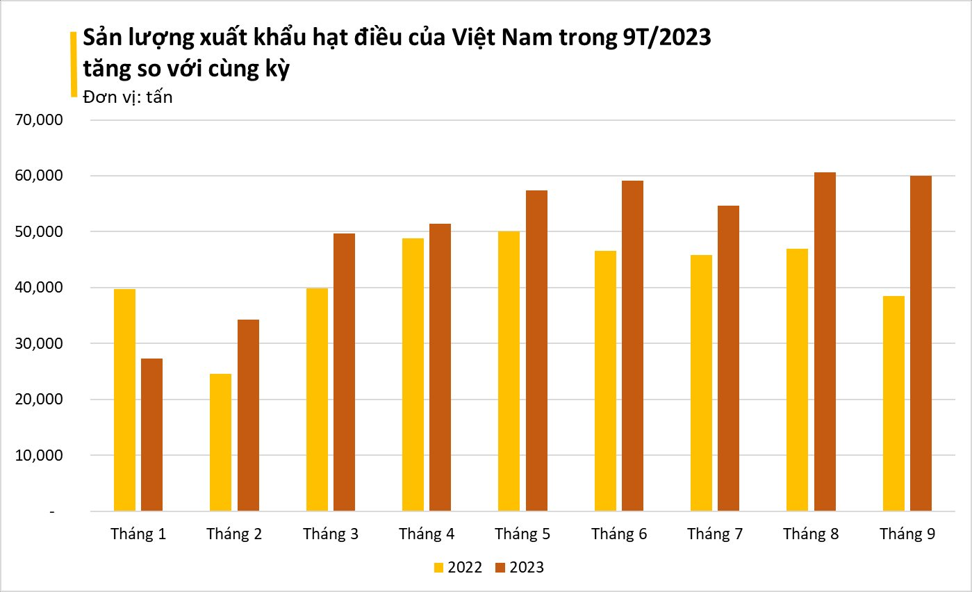 'Hạt vàng hạt bạc' giúp Việt Nam đứng đầu thế giới về xuất khẩu: được Mỹ, Trung Quốc cực ưa chuộng, nằm trong 'CLB tỷ USD' của ngành nông nghiệp - Ảnh 1.