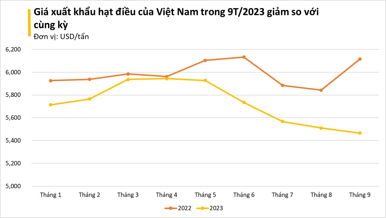 'Hạt vàng hạt bạc' giúp Việt Nam đứng đầu thế giới về xuất khẩu: được Mỹ, Trung Quốc cực ưa chuộng, nằm trong 'CLB tỷ USD' của ngành nông nghiệp - Ảnh 2.