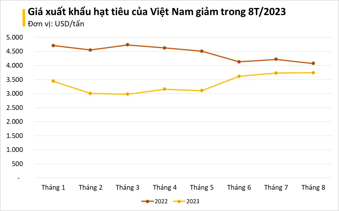 Mặt hàng Việt Nam có sản lượng lớn nhất thế giới đang liên tục tràn vào Ai Cập, xuất khẩu tăng mạnh 200% chỉ trong tháng 8 - Ảnh 1.