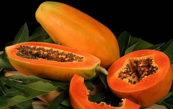 1 loại quả có vị chua chát là “thuốc chống ung thư tự nhiên”, hạ đường huyết hiệu quả: Rất sẵn ở Việt Nam - Ảnh 3.