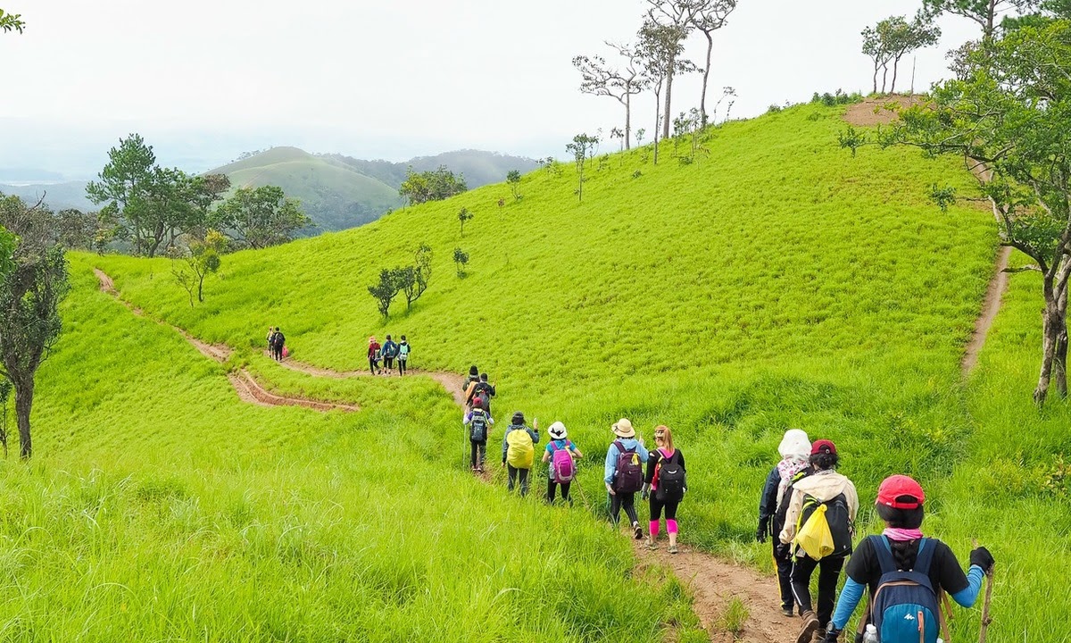 Cung đường leo núi mới đây chính thức đưa vào khai thác du lịch, mang vẻ đẹp gai góc, từng xuất hiện trên phim điện ảnh - Ảnh 5.