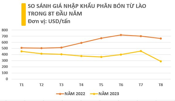 Giá rẻ phá kỷ lục, nhập khẩu một mặt hàng từ Lào vào Việt Nam bất ngờ tăng gấp 10 lần trong tháng 8 - Ảnh 3.