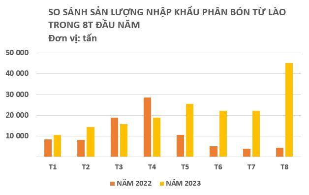 Giá rẻ phá kỷ lục, nhập khẩu một mặt hàng từ Lào vào Việt Nam bất ngờ tăng gấp 10 lần trong tháng 8 - Ảnh 2.